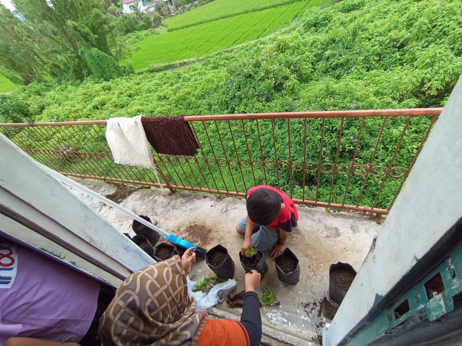 Kelas Inklusif Bukittinggi - 42